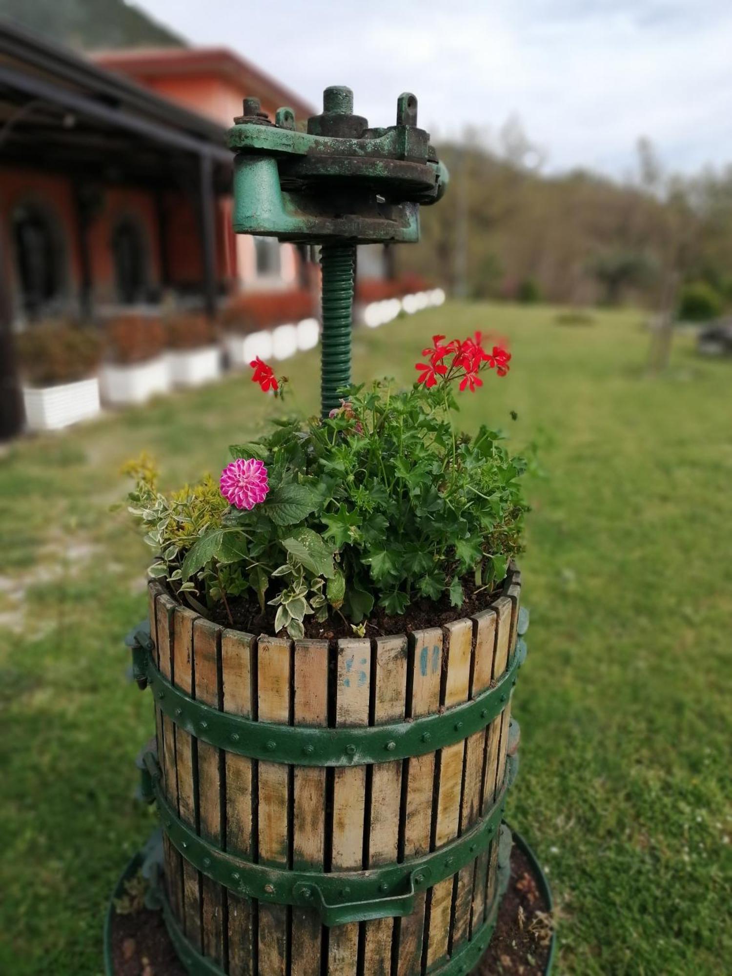 Salisu Country House Mignano Monte Lungo Ngoại thất bức ảnh